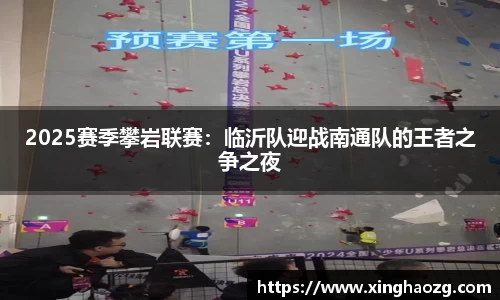 2025赛季攀岩联赛：临沂队迎战南通队的王者之争之夜